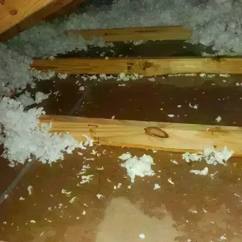 Attic Water Damage in Homewood, IL