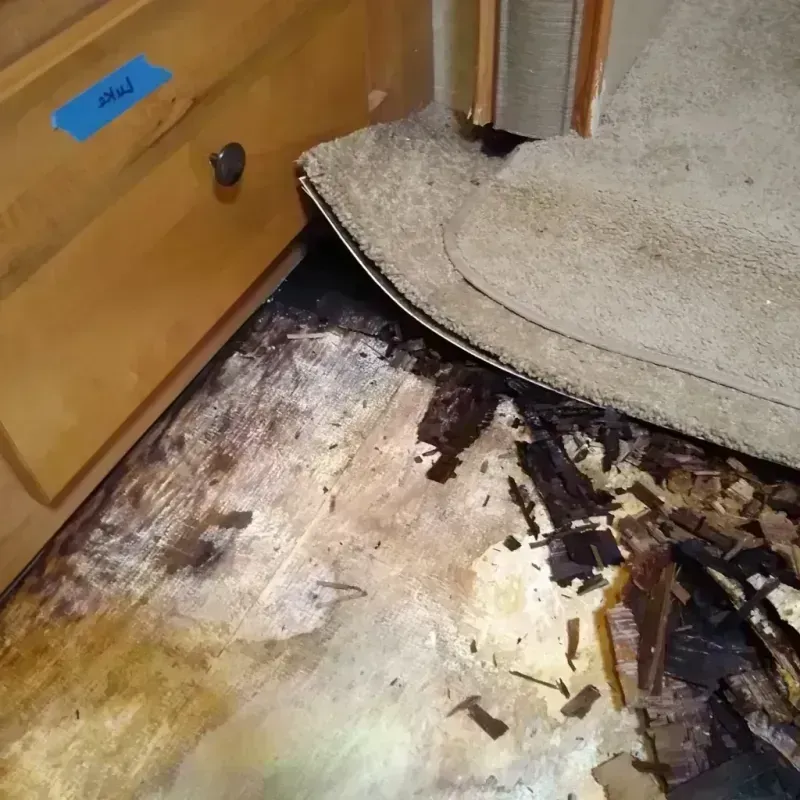 Wood Floor Water Damage in Homewood, IL